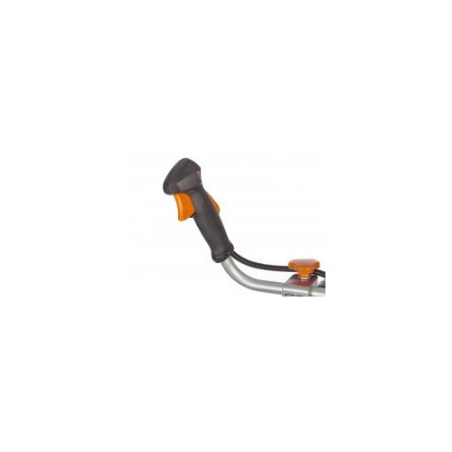 Desbrozadora Gasol. Anova D43B 43 CC | Huerto y Jardín. Calvet Animals i 2