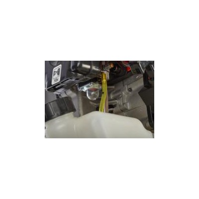 Desbrozadora Gasol. Anova D43B 43 CC | Huerto y Jardín. Calvet Animals i