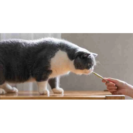 Snacks para gato | Pollo Con Cangrejo (4X14 G) 56 g | Calvet animales y plantas 2