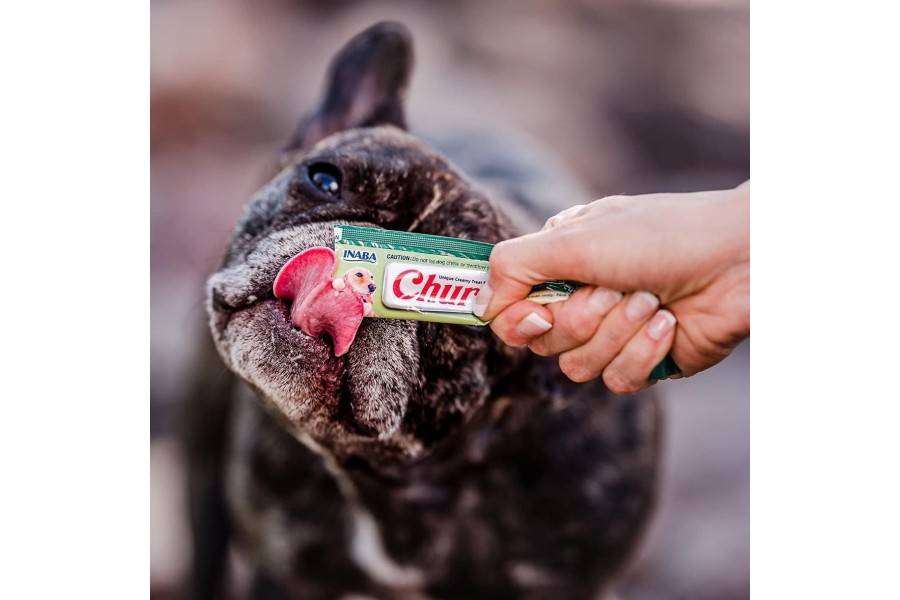  Alimentación para perro | Pollo (4X14 G) 56 g | Calvet Animals