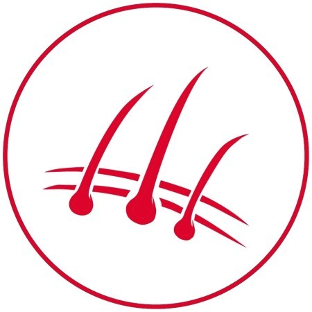 Pienso para perro | Original Salmón&Patata 12 Kg | Calvet animals i plantes