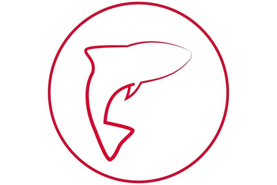 Salmón Y Patata 12 kg Arion Original