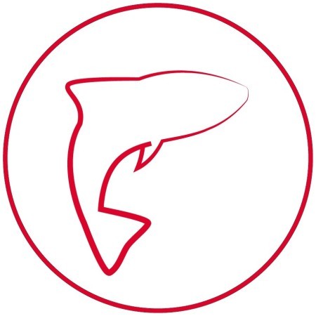 Salmó I Patata 12 kg Arion Original