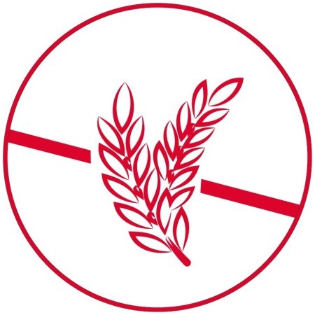 Salmó I Patata 12 kg Arion Original