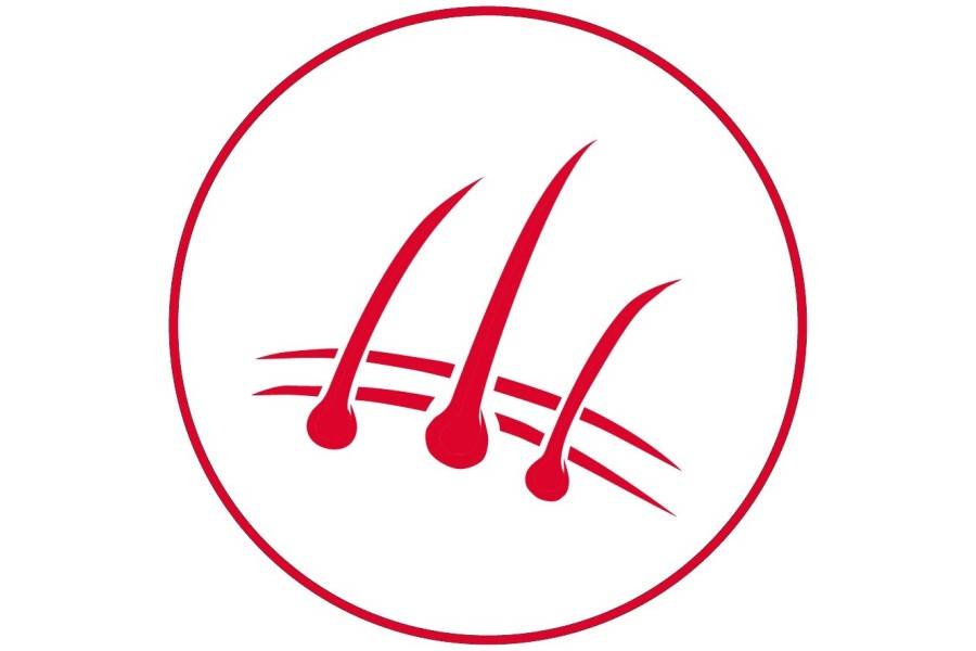 Pienso para perro | Original Pollo&Patata 12 Kg | Calvet animals i plantes