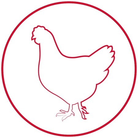 Pollo Y Patata 12 kg Arion Original