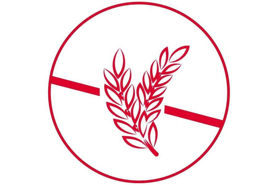 Pollastre I Patata 12 kg Arion Original