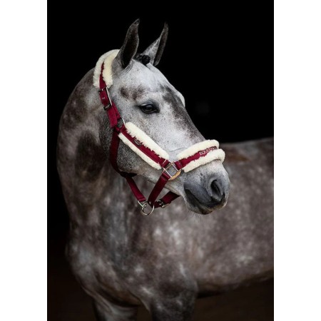 Morralla Quadra Equestrian Stockholm + Ramal Bordeus | Morralles