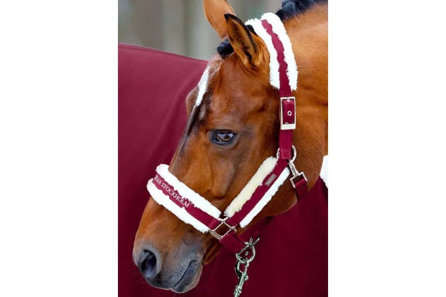 Morralla Quadra Equestrian Stockholm + Ramal Bordeus | Morralles