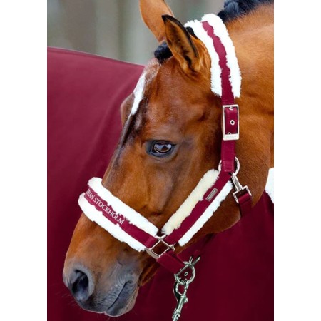 Morralla Quadra Equestrian Stockholm + Ramal Bordeus | Morralles