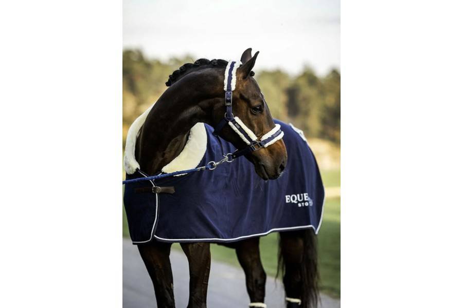  Cabezadas cuadra | Cabezada Cuadra Equestrian Stockholm +