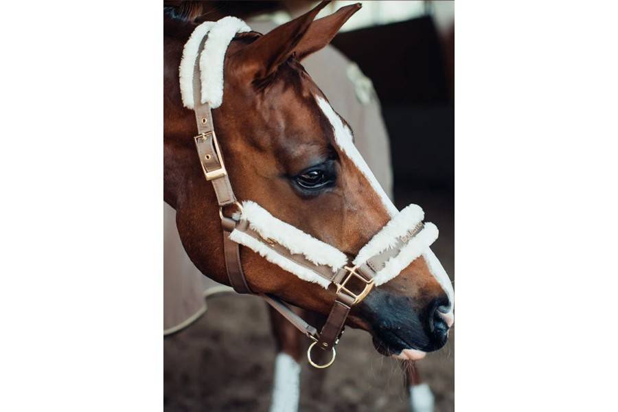 Morralla Quadra Equestrian Stockholm + Ramal Champagne | Morralles