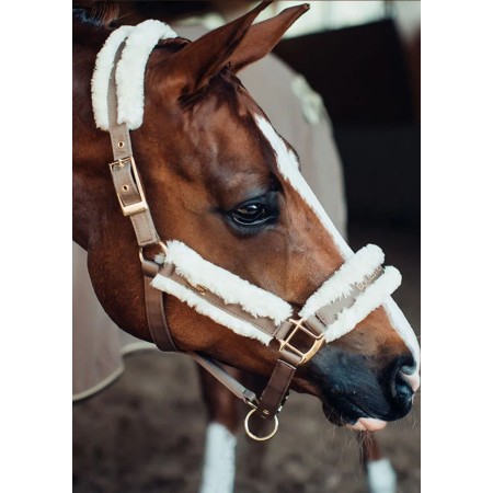 Morralla Quadra Equestrian Stockholm + Ramal Champagne | Morralles