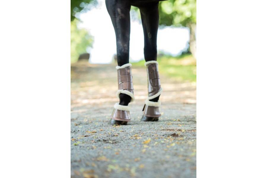 Protectors Equestrian Stockholm Champagne | Proteccions