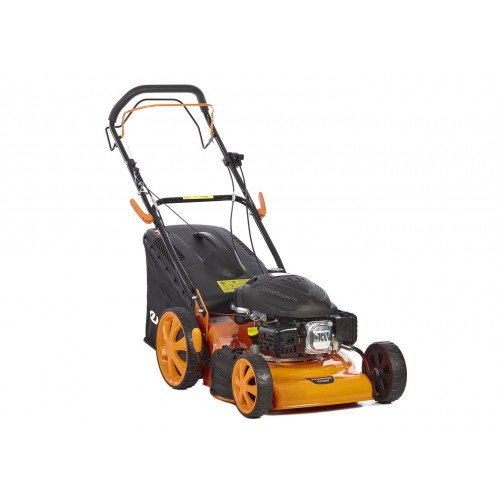 Talla Gespa Anova CC246T | Tallagespes a Calvet Animals i Plantes