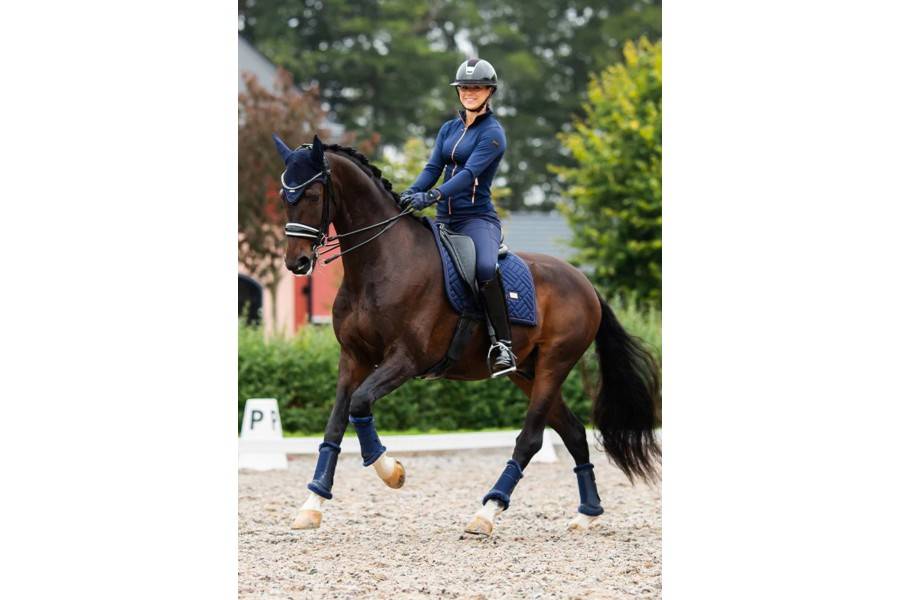 Suador Doma Equestrian Stockholm Lagoon Blush | Complements selles