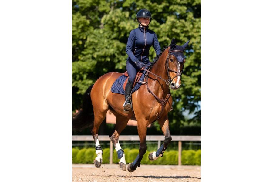 Suador Salt Equestrian Stockholm Lagoon Blush | Complements selles