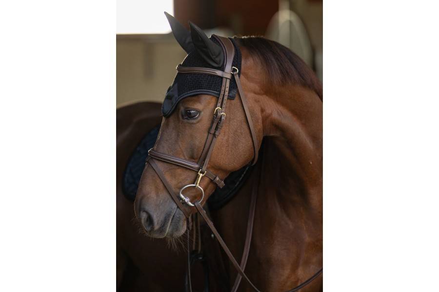  Orejeras | Orejeras Equestrian Stockholm Negra | Calvet