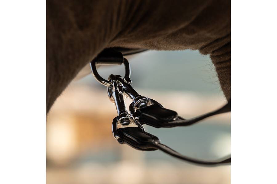 Regnes Alemanes Cuir/Goma QHP Basic Pro Negre | Morralles