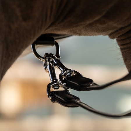 Regnes Alemanes Cuir/Goma QHP Basic Pro Negre | Morralles