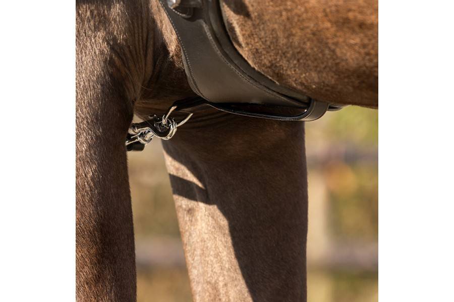 Regnes Alemanes Cuir/Goma QHP Basic Pro Negre | Morralles