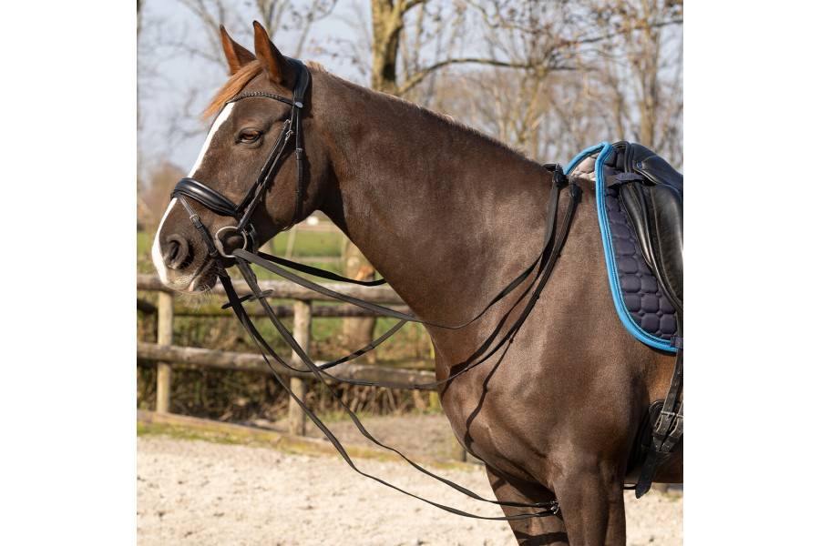 Regnes Alemanes Cuir/Goma QHP Basic Pro Negre | Morralles