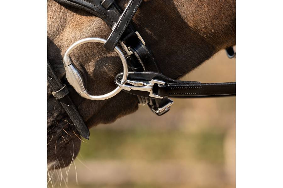 Riendas | Riendas Una Mano Cuero QHP Negra | Calvet Animals i