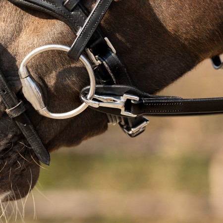  Riendas | Riendas Una Mano Cuero QHP Negra | Calvet Animals i