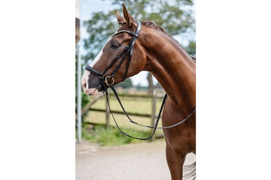  Bridas | Brida HKM Nicole Negra | Calvet Animals i Plantes