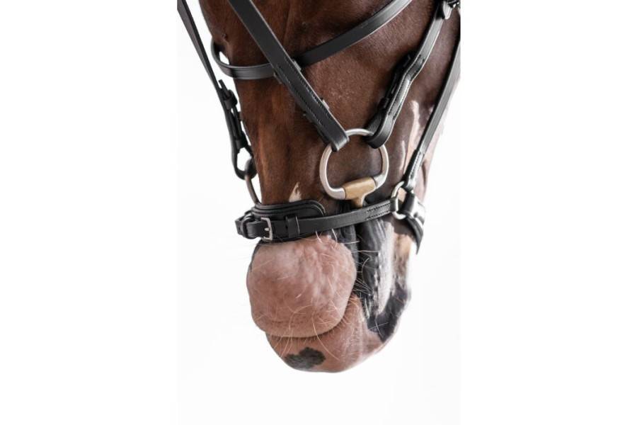  Bridas | Brida HKM Nicole Negra | Calvet Animals i Plantes