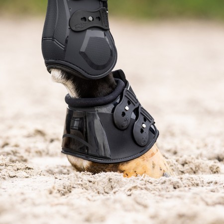 Campanas QHP Champion Negra | Calvet Animals i Plantes. 2