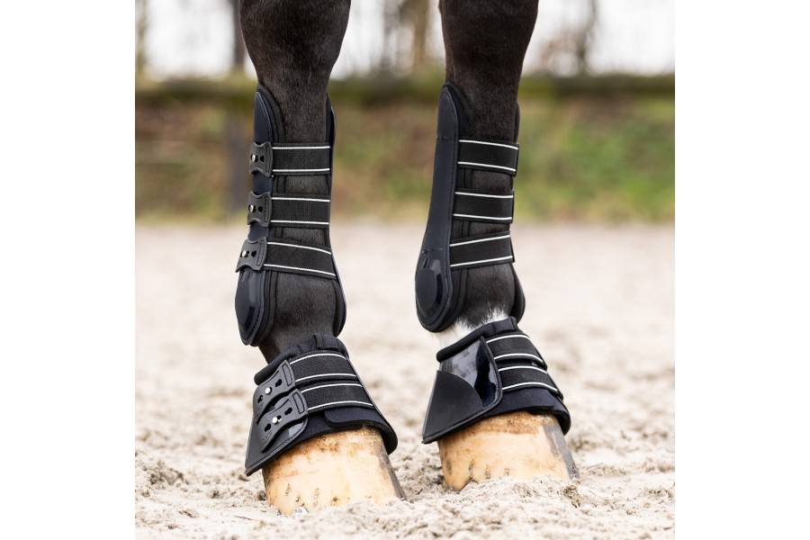 Campanas QHP Champion Negra | Calvet Animals i Plantes.