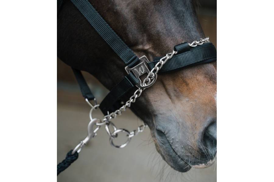 Morralla Quadra Waldhausen Pro Safety Negra | Morralles