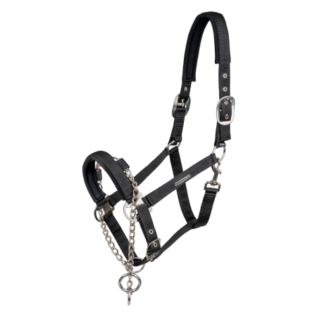 Cabezada Cuadra Waldhausen Pro Safety Negra | Calvet Animals i Plantes.