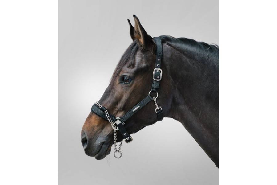 Morralla Quadra Waldhausen Pro Safety Negra | Morralles