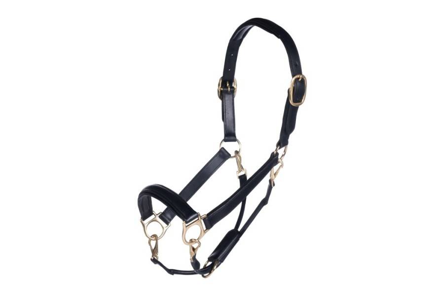 Cabezada Cuadra Cuero HKM Gold Negra | Calvet Animals i Plantes.