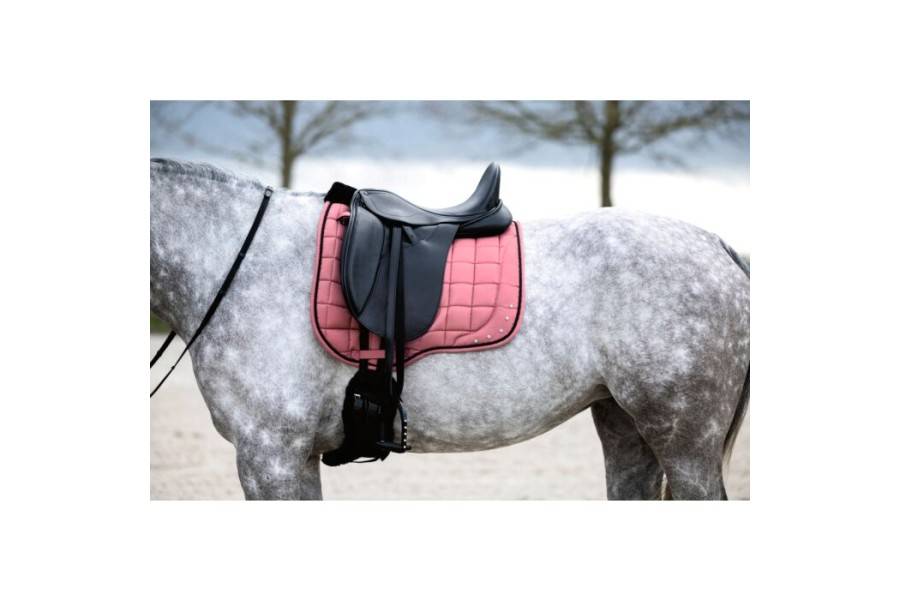 Sudadero Doma HKM Rosewood Rosa Óxido | Calvet Animals i Plantes.