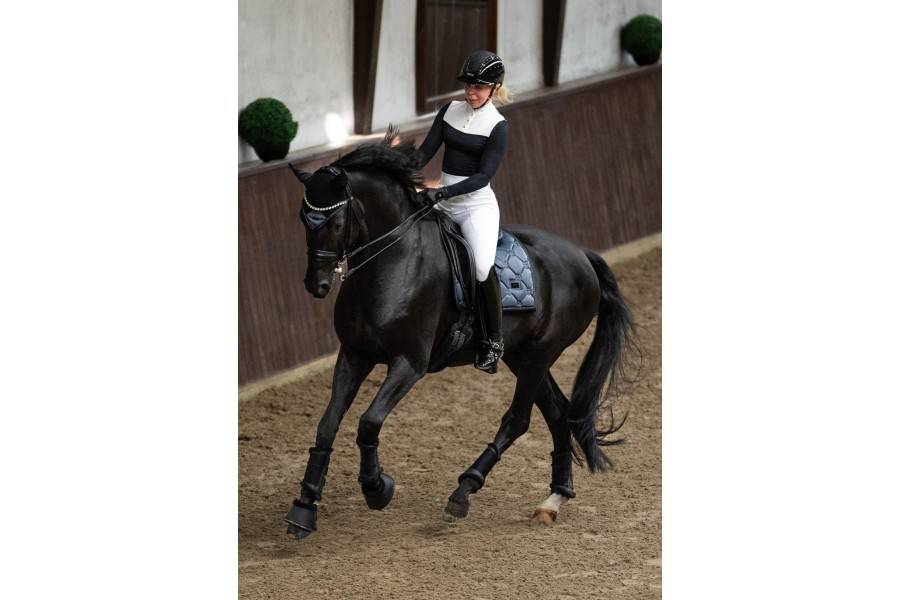 Sudadero Doma Equestrian Stockholm Winter Shadow | Calvet Animals i