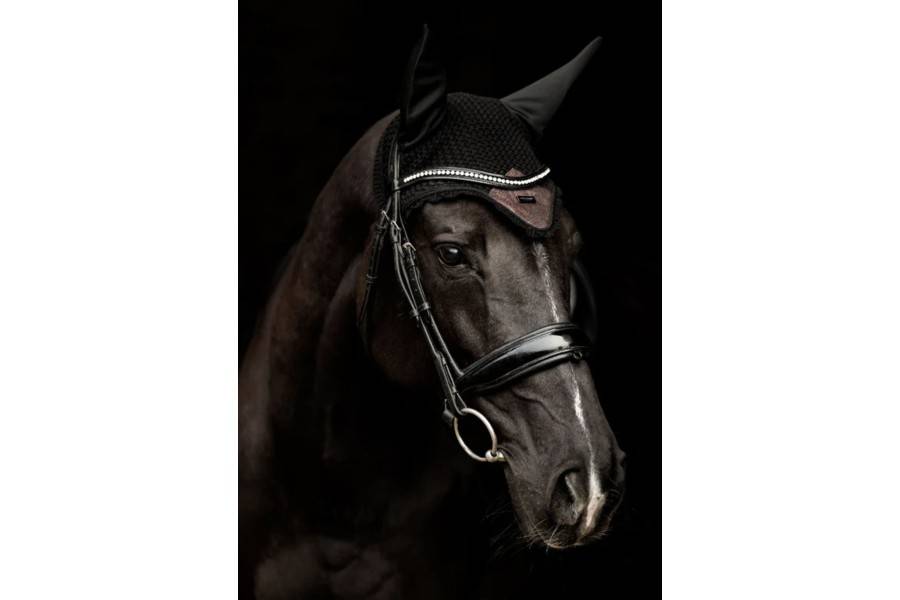 Orelleres Equestrian Stockholm Mahogany Glimmer | Morralles