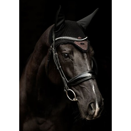 Orelleres Equestrian Stockholm Mahogany Glimmer | Morralles