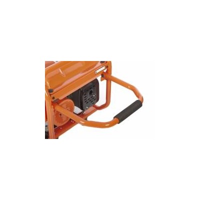 Generador Gasolina 2500 W | Huerto y Jardín. Calvet Animals i Plantes.