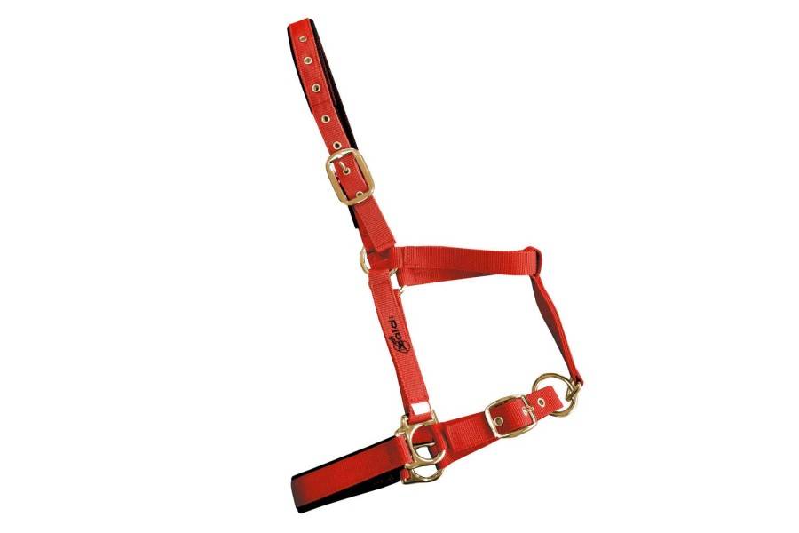 Cabezada Cuadra Doble Nylon/Pvc Roja | Calvet Animals i Plantes