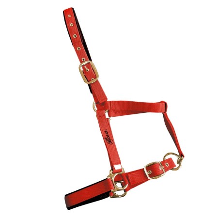 Morralla Quadra Doble Nylon/Pvc Vermella | Morralles