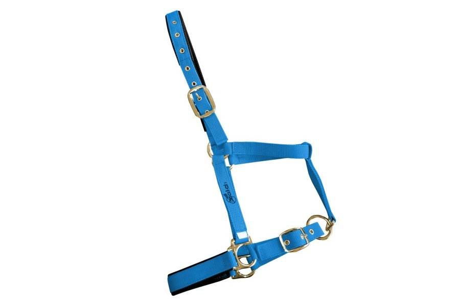 Morralla Quadra Doble Nylon/Pvc Blava | Morralles