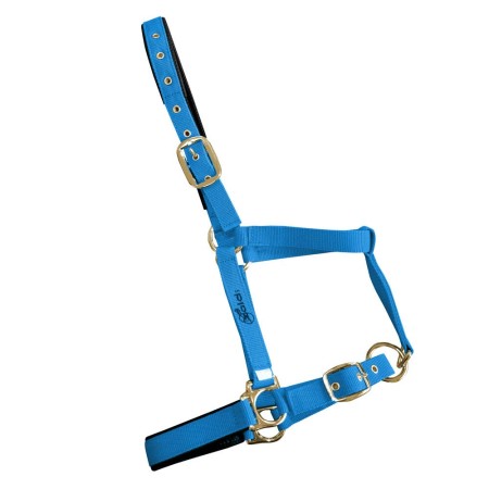 Cabezada Cuadra Doble Nylon/Pvc Azul | Calvet Animals i Plantes