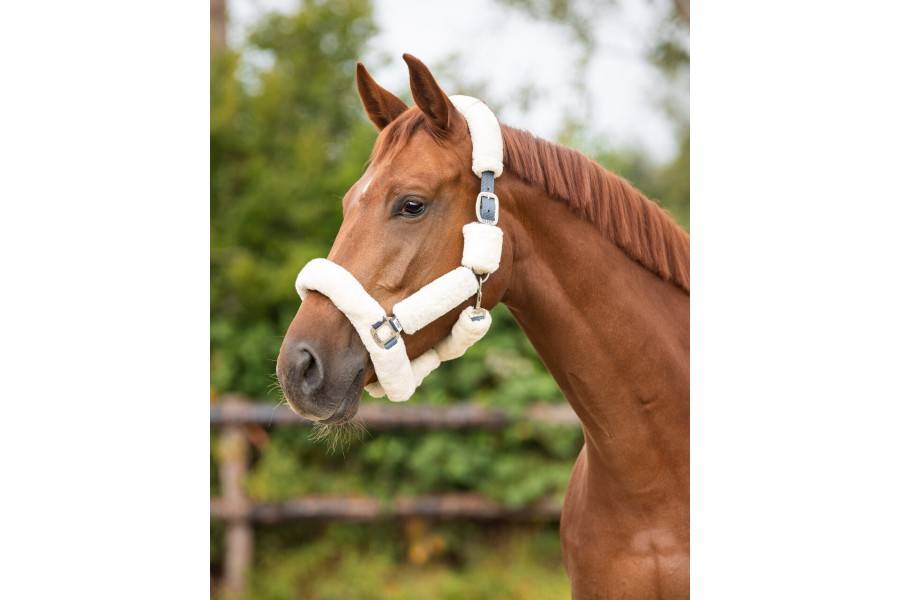 Morralla Quadra QHP Alaska Llana Crema | Morralles