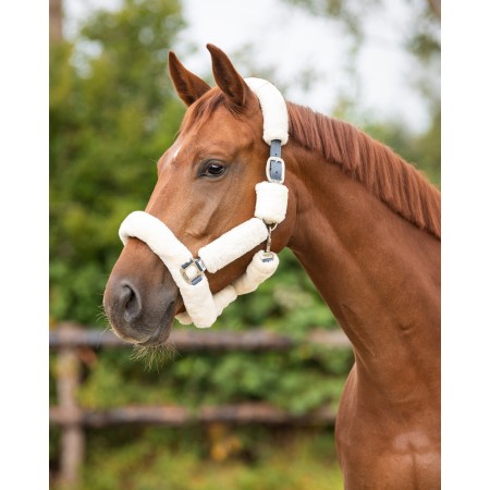 Cabezada Cuadra QHP Alaska Lana Crema | Calvet Animals i Plantes.