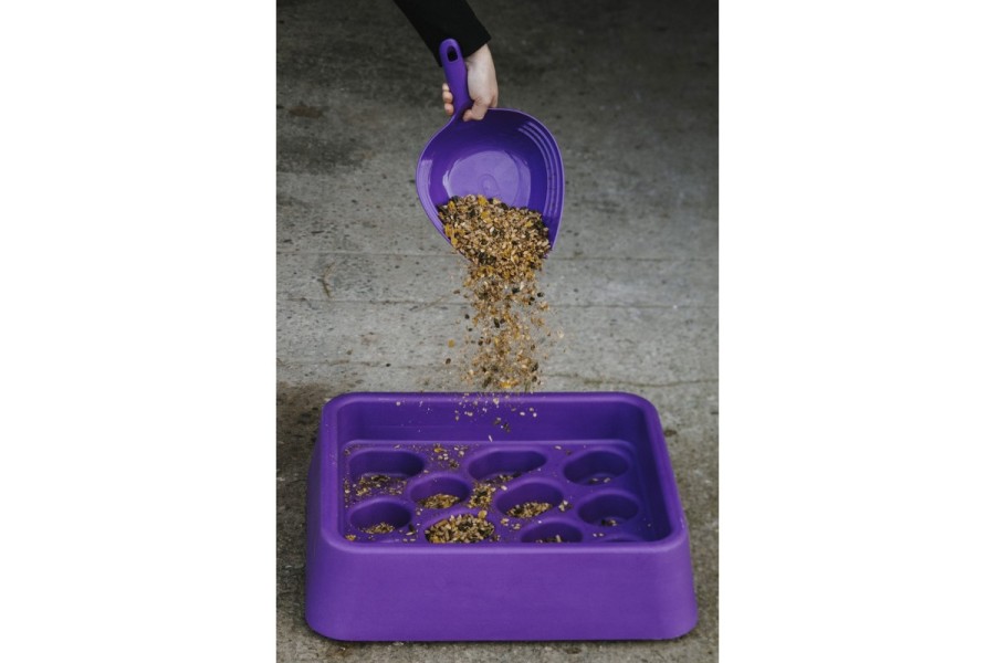 Cazo Medidor Pienso Shark Violeta 2,7 L | Calvet Animals i Plantes.