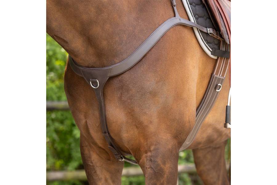 Pitpetral QHP Amb Ansa Negre | Complements selles