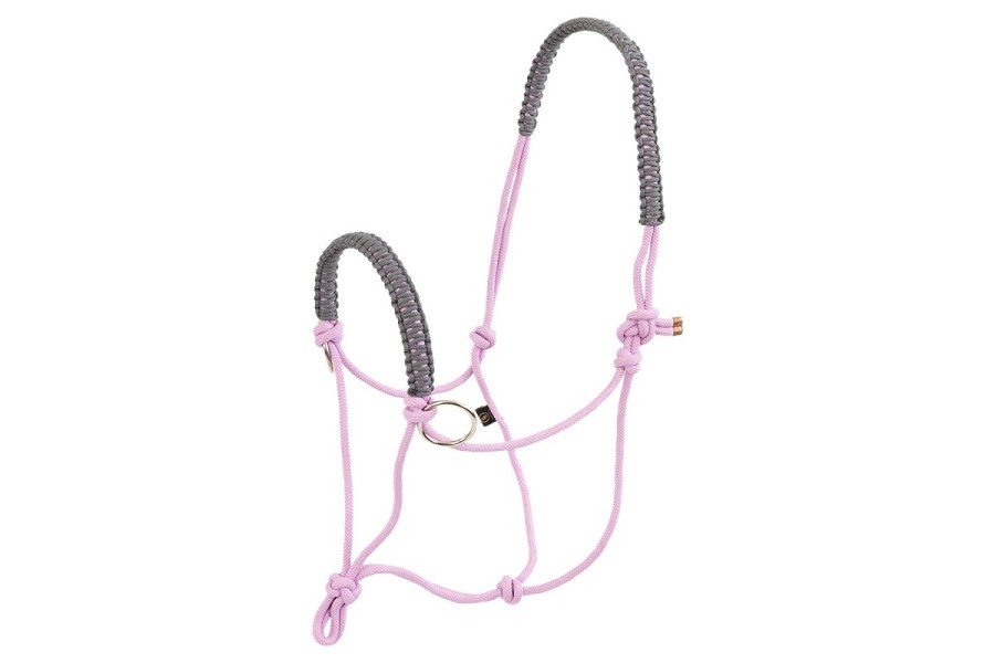 Cabezada Cuadra Cuerda BR + Ramal + Riendas Malva | Calvet Animals i